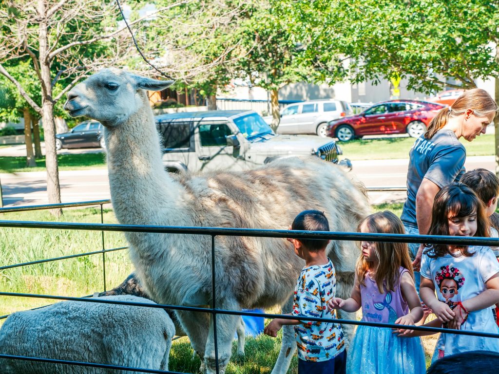 Kids petting zoo.